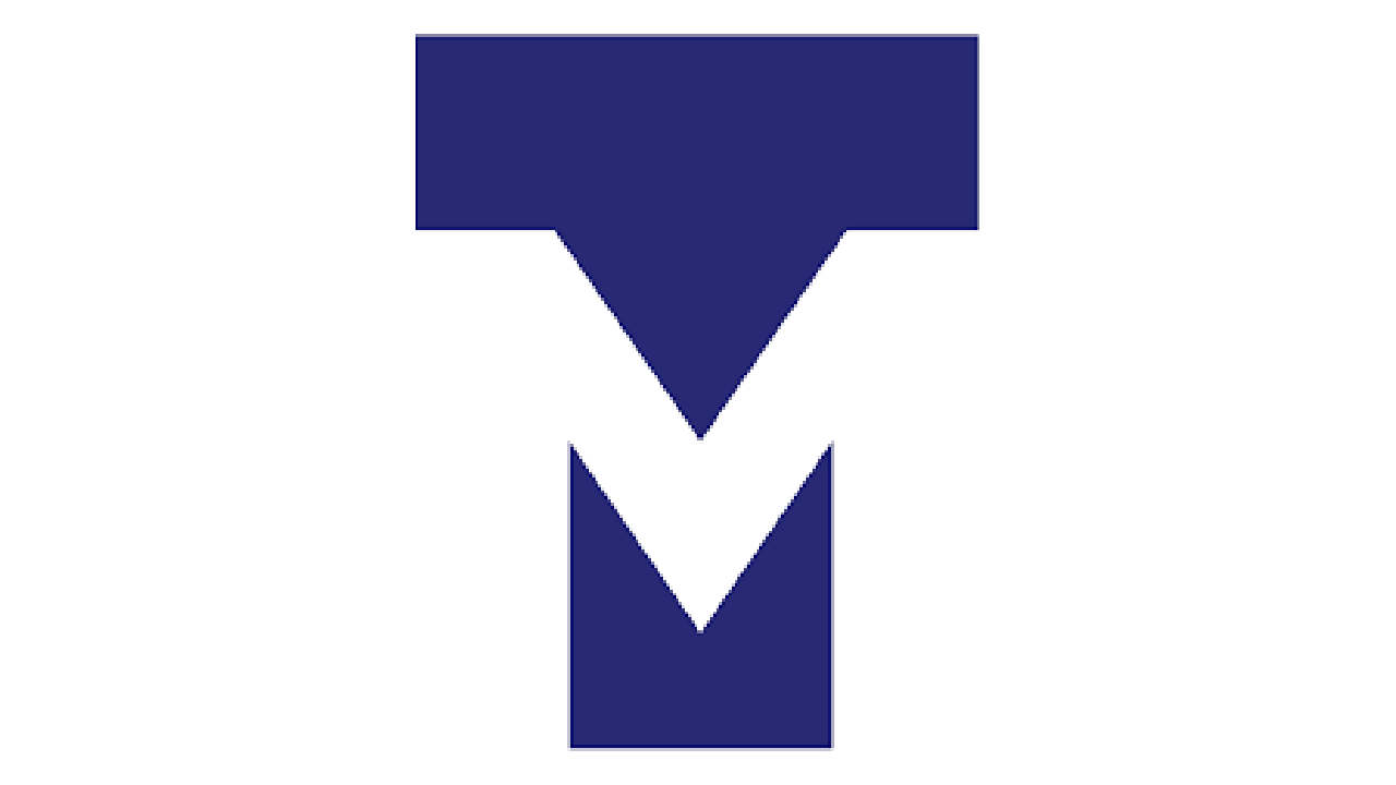 TargetMedia logo illustrating Microsoft Access system integration and data modernization services.